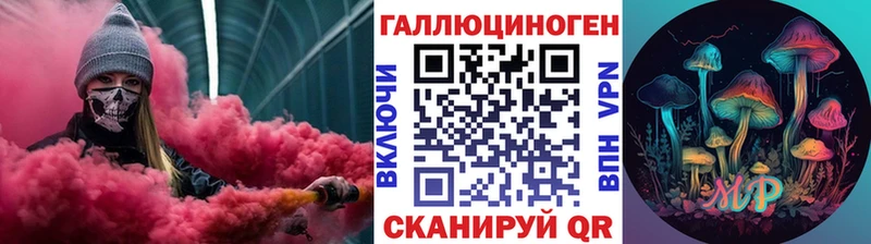 наркошоп  Полярные Зори  Псилоцибиновые грибы Psilocybe 